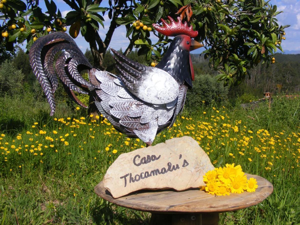 Covelo  Casa Thocamalu'S 아파트 외부 사진